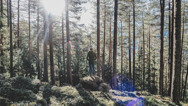 Österreich Nationalpark Natur